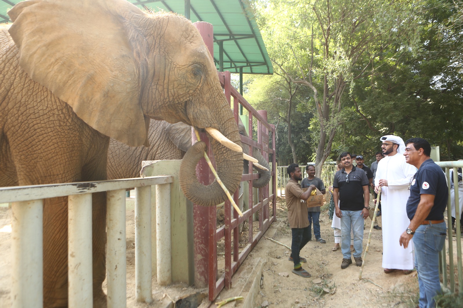 Madhubala's Journey: From Tanzania to Karachi Safari Park