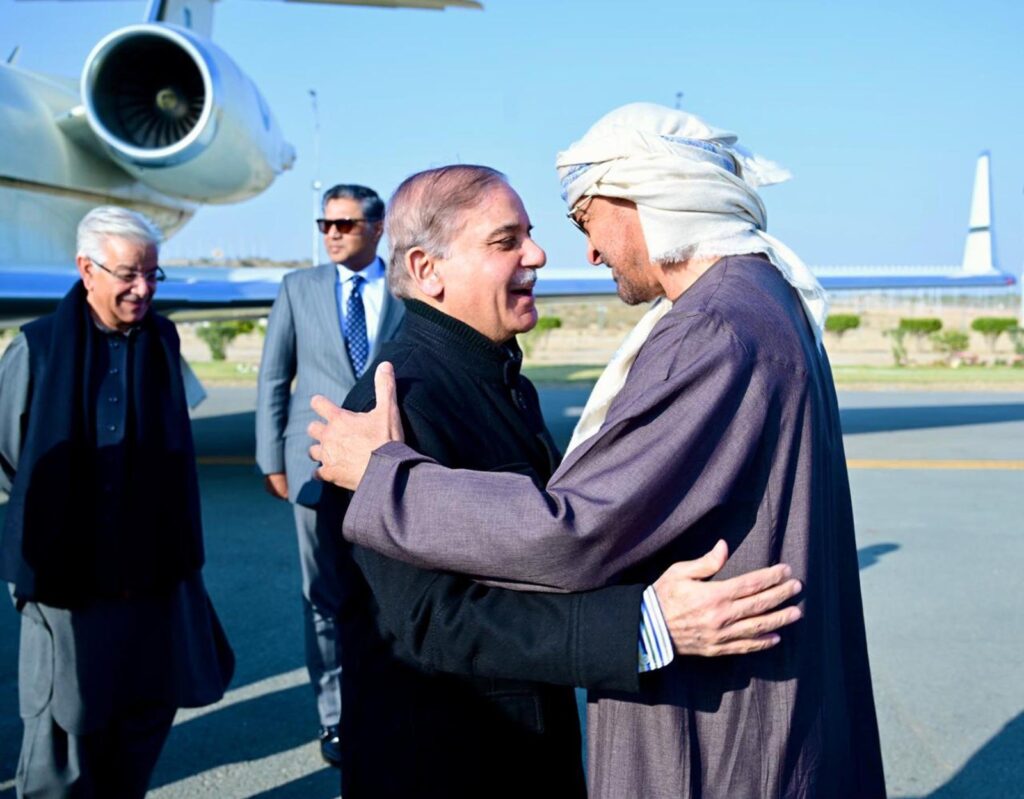 PM Shehbaz and UAE President Strengthen Strategic Ties
