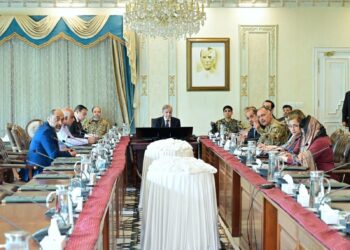 PM Shehbaz Orders NDMA to Step Up Flood Response in Punjab, Sindh on Alert