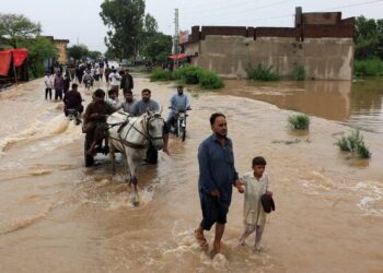 Punjab Flood Emergency: 200,000 Evacuated as Rivers Overflow, Army Deployed in Six Districts
