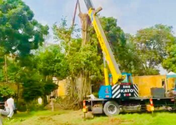 Sindh CM Leads Restoration of 150-Year-Old Historic Banyan Tree in Karachi