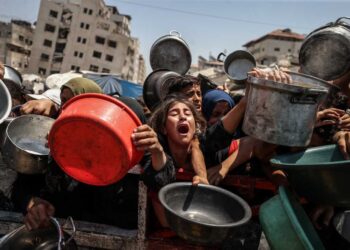 UN Confirms Famine in Gaza: Over 500,000 Facing Catastrophic Hunger