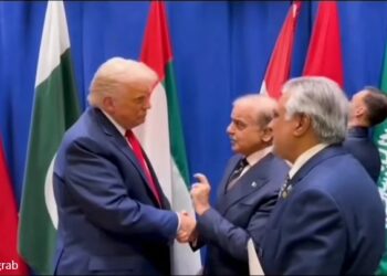 PM Shehbaz, Trump Meet Informally on Sidelines of Arab-Islamic Summit in New York
