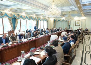 PM Shehbaz Declares Climate and Agricultural Emergency Amid Devastating Floods