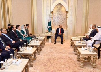 President Zardari discusses AD Ports Group investment in Pakistan