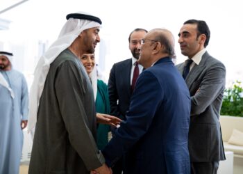 Zardari meets UAE President to strengthen ties