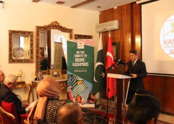 Türkiye reaffirms support for Kashmir, says Pakistan ‘will never walk alone’