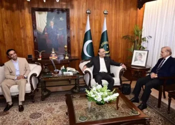 Shehbaz Sharif and Bilawal Bhutto Zardari discuss Pakistan budget 2026-27 amid coalition talks.