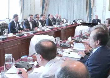 Prime Minister Shehbaz Sharif presides over a high-level meeting on petroleum supply and economic stability in Pakistan.