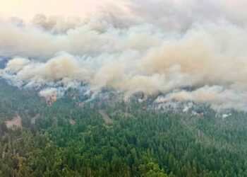 Smoke from Ontario wildfires blankets parts of Canada and the United States as firefighters battle active forest fires.