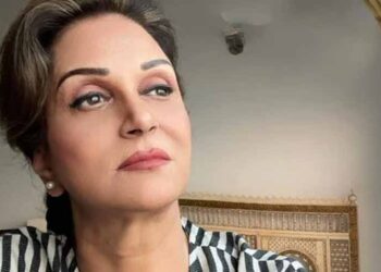 Veteran Pakistani actor Bushra Ansari speaks about her YouTube earnings during a recent interview.