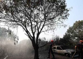 Firefighters responding to a large wildfire in Spain during extreme summer heat.