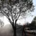 Firefighters responding to a large wildfire in Spain during extreme summer heat.