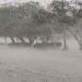 Flooded street in Lahore after overnight monsoon rainfall.