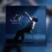 Pakistani singer Atif Aslam discusses his creative journey and upcoming studio album Subah Aye Na.