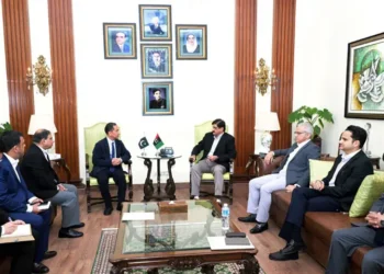 Sindh Chief Minister Murad Ali Shah meets CMPak officials in Karachi