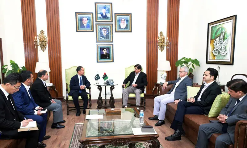 Sindh Chief Minister Murad Ali Shah meets CMPak officials in Karachi
