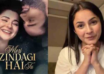 Shehnaaz Gill speaks about Hania Aamir and her admiration for Pakistani television dramas.