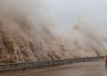 Typhoon Dolphin hits China’s eastern coast with heavy rain and strong winds