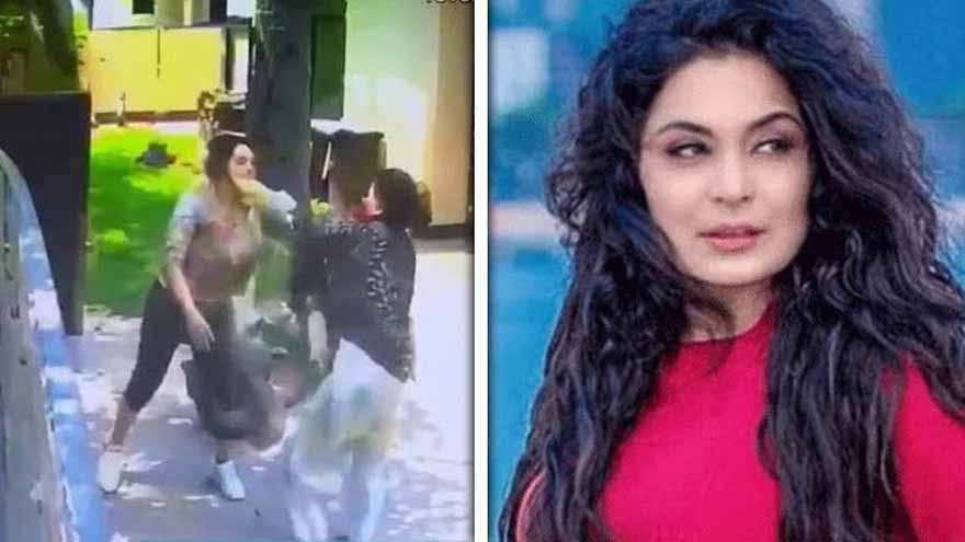 Pakistani actress Meera amid controversy over viral domestic worker video