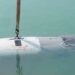 US Dive-LD autonomous underwater drone reportedly captured near the Strait of Hormuz.