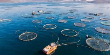 Sustainable aquaculture farm representing innovative fish nutrition and responsible seafood production.