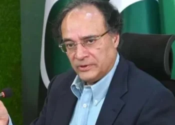 Muhammad Aurangzeb speaks about virtual assets, blockchain and climate finance in New York