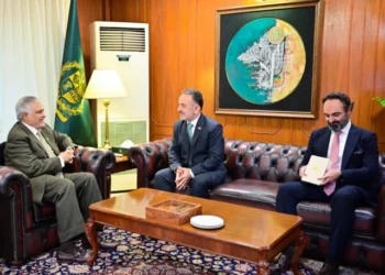Ishaq Dar during a meeting on Pakistan-Türkiye and Pakistan-UK diplomatic relations.