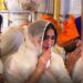 Sara Ali Khan and Ayushmann Khurrana pay their respects at the Golden Temple in Amritsar ahead of Udta Teer.