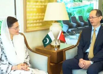 Punjab Senior Minister Marriyum Aurangzeb meets the Chinese Deputy Head of Mission to discuss CPEC, environmental protection and development projects.