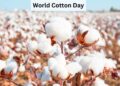 Karachi Cotton Association officials and cotton trade representatives at World Cotton Day in Karachi