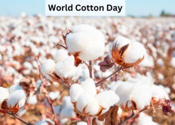 Karachi Cotton Association officials and cotton trade representatives at World Cotton Day in Karachi