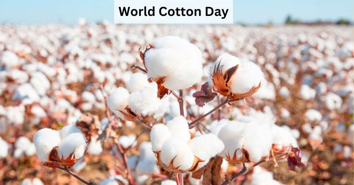 Karachi Cotton Association officials and cotton trade representatives at World Cotton Day in Karachi