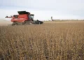 Pakistani farmer working in an agricultural field amid debate over farm taxation.