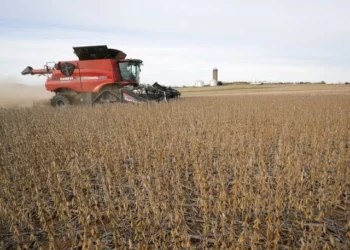 Pakistani farmer working in an agricultural field amid debate over farm taxation.