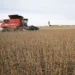Pakistani farmer working in an agricultural field amid debate over farm taxation.