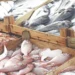 Fish and seafood exports at a Pakistani fisheries facility.