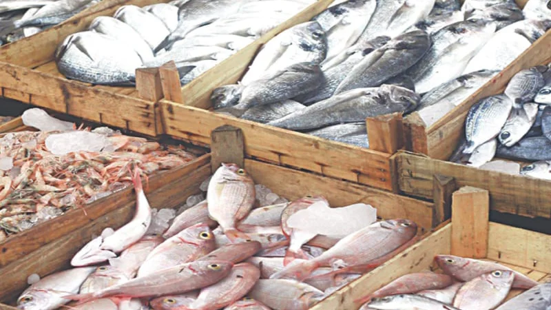 Fish and seafood exports at a Pakistani fisheries facility.