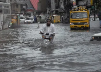 Developing economies face pressure from rising energy prices, El Nino and borrowing costs