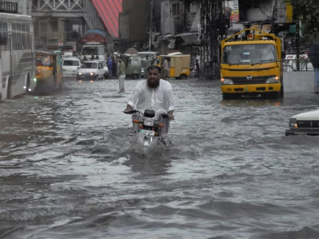Developing economies face pressure from rising energy prices, El Nino and borrowing costs